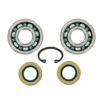 Kit Simering+Rulment motocoasa 129R