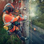 Sistem reglaj casca Husqvarna Spire Vent arborist