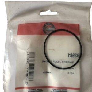 Garnitura capac pahar decantor carburator Briggs&Stratton imagine spate
